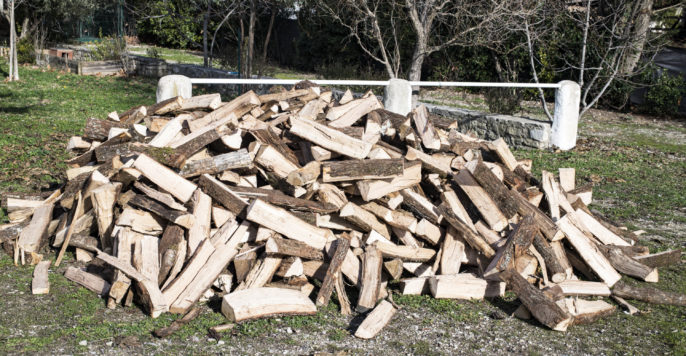 https://greelytreeservices.com/wp-content/uploads/2022/03/pile-of-firewood-2022-02-22-06-33-50-utc-686x356.jpg